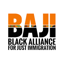 BAJI LOGO