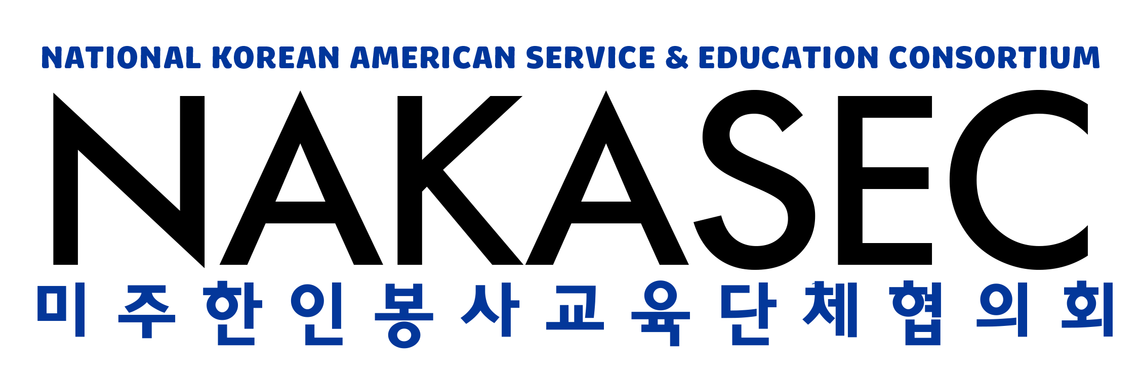 (HIGH RES) Nakasec-Logo-Transparent-Black(1)(1)